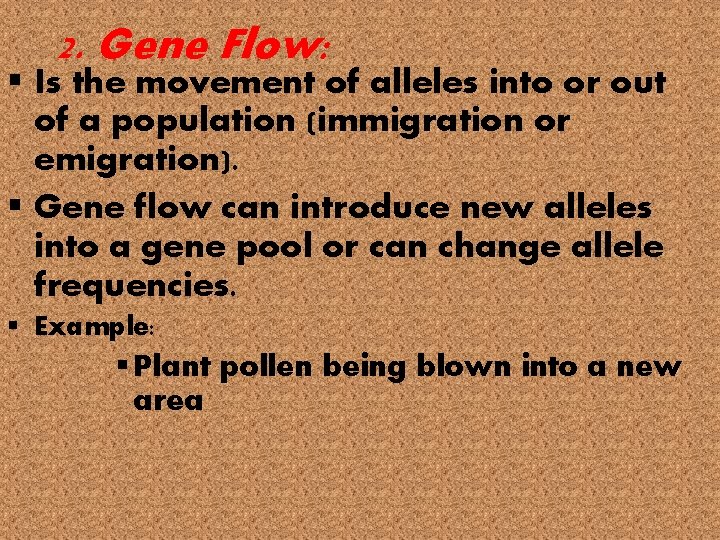 2. Gene Flow: § Is the movement of alleles into or out of a