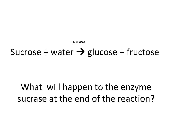 sucrase Sucrose + water glucose + fructose What will happen to the enzyme sucrase