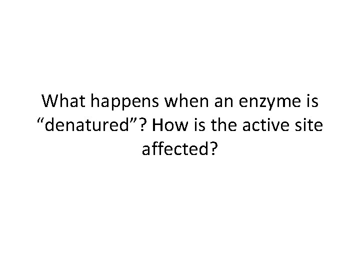 What happens when an enzyme is “denatured”? How is the active site affected? 