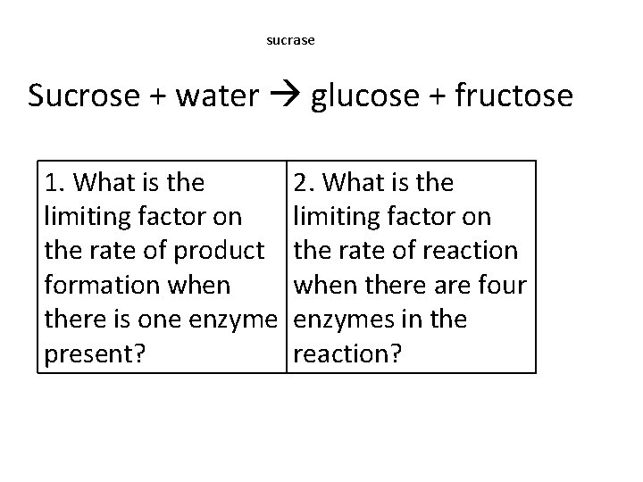 sucrase Sucrose + water glucose + fructose 1. What is the limiting factor on