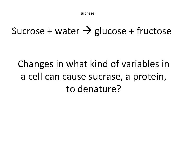 sucrase Sucrose + water glucose + fructose Changes in what kind of variables in