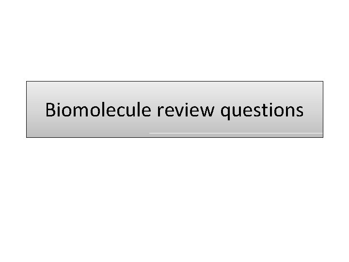 Biomolecule review questions 