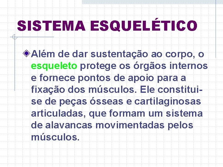 SISTEMA ESQUELÉTICO Além de dar sustentação ao corpo, o esqueleto protege os órgãos internos