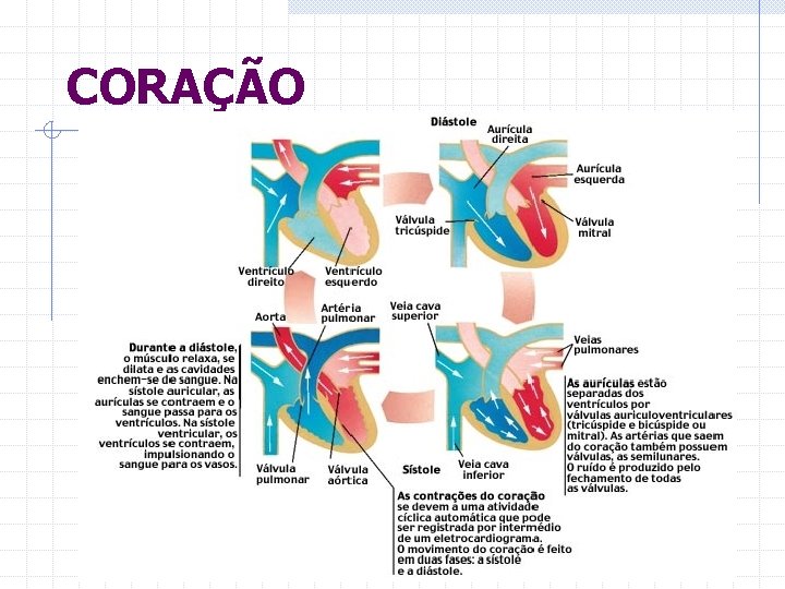 CORAÇÃO 