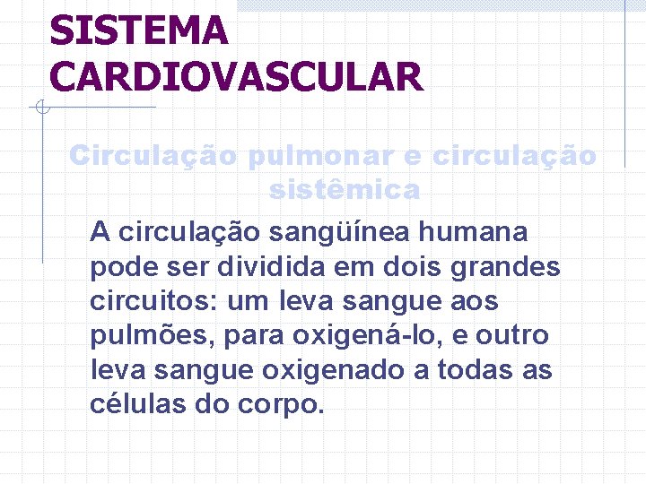 SISTEMA CARDIOVASCULAR Circulação pulmonar e circulação sistêmica A circulação sangüínea humana pode ser dividida