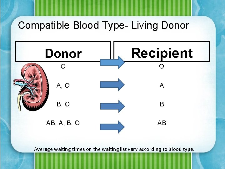 Compatible Blood Type- Living Donor Recipient O O A, O A B, O B