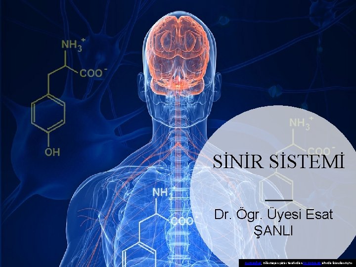 SİNİR SİSTEMİ Dr. Ögr. Üyesi Esat ŞANLI Bu Fotoğraf, Bilinmeyen yazar tarafından CC BY-SA-NC
