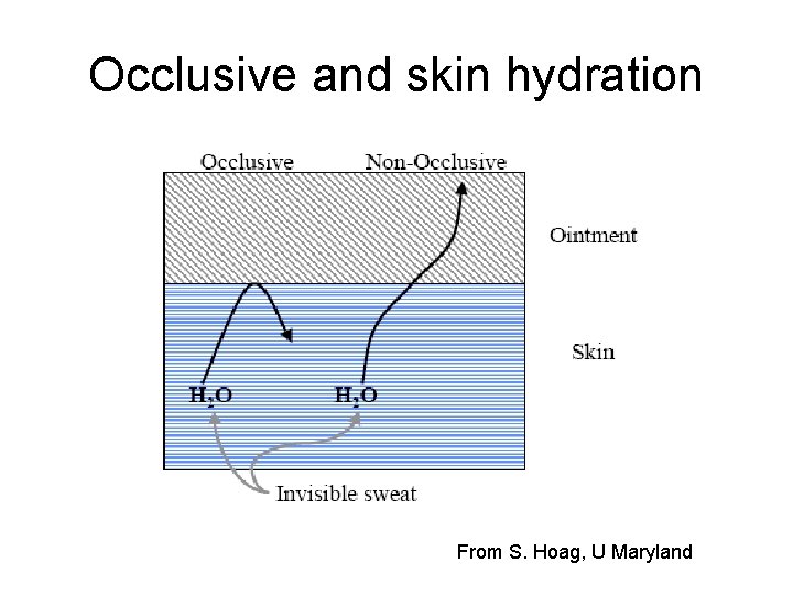 Occlusive and skin hydration From S. Hoag, U Maryland 