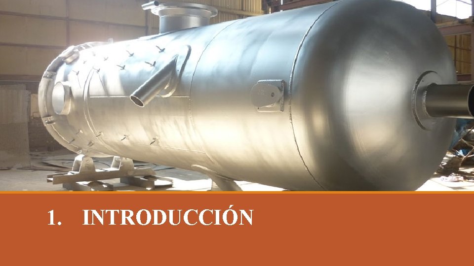 1. INTRODUCCIÓN 1. INTRODUCCIÓN