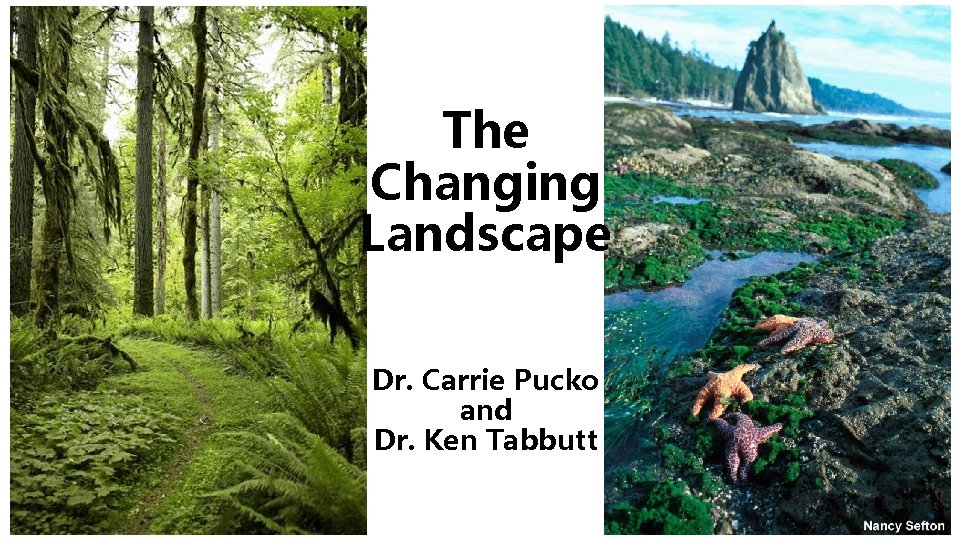 The Changing Landscape Dr. Carrie Pucko and Dr. Ken Tabbutt The Changing Landscape Dr. Carrie Pucko and Dr. Ken Tabbutt