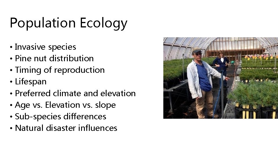 Population Ecology • Invasive species • Pine nut distribution • Timing of reproduction • Population Ecology • Invasive species • Pine nut distribution • Timing of reproduction •