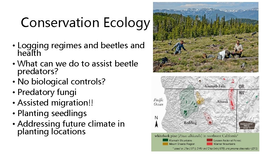 Conservation Ecology • Logging regimes and beetles and health • What can we do Conservation Ecology • Logging regimes and beetles and health • What can we do