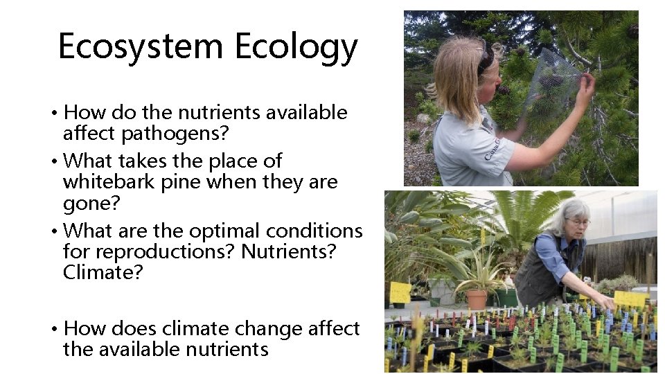 Ecosystem Ecology • How do the nutrients available affect pathogens? • What takes the Ecosystem Ecology • How do the nutrients available affect pathogens? • What takes the
