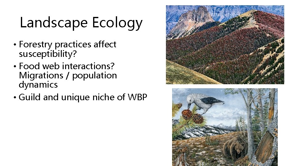 Landscape Ecology • Forestry practices affect susceptibility? • Food web interactions? Migrations / population Landscape Ecology • Forestry practices affect susceptibility? • Food web interactions? Migrations / population