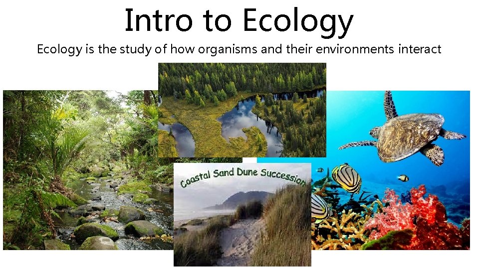 Intro to Ecology is the study of how organisms and their environments interact Intro to Ecology is the study of how organisms and their environments interact