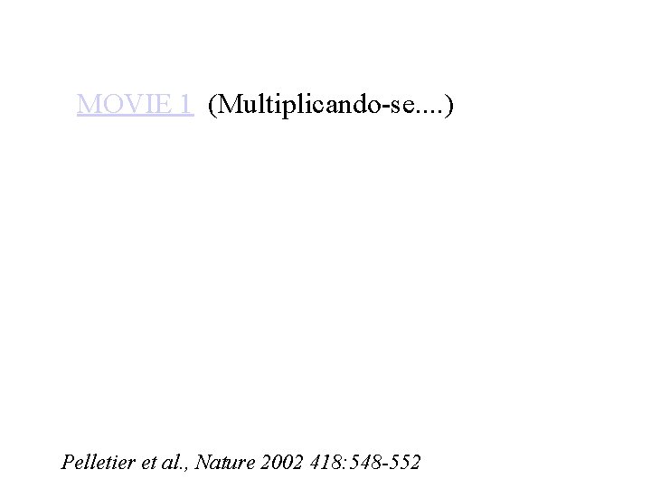 MOVIE 1 (Multiplicando-se. . ) Pelletier et al. , Nature 2002 418: 548 -552