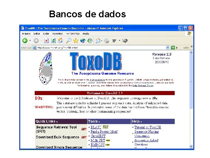 Bancos de dados 