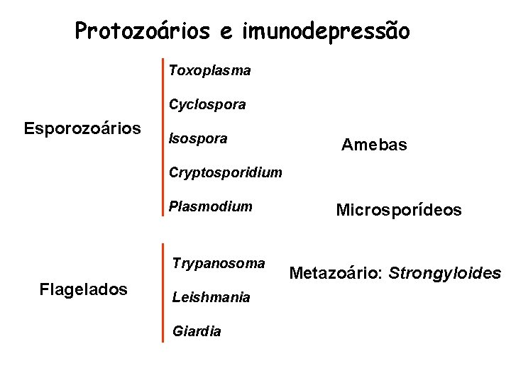 Protozoários e imunodepressão Toxoplasma Cyclospora Esporozoários Isospora Amebas Cryptosporidium Plasmodium Trypanosoma Flagelados Leishmania Giardia