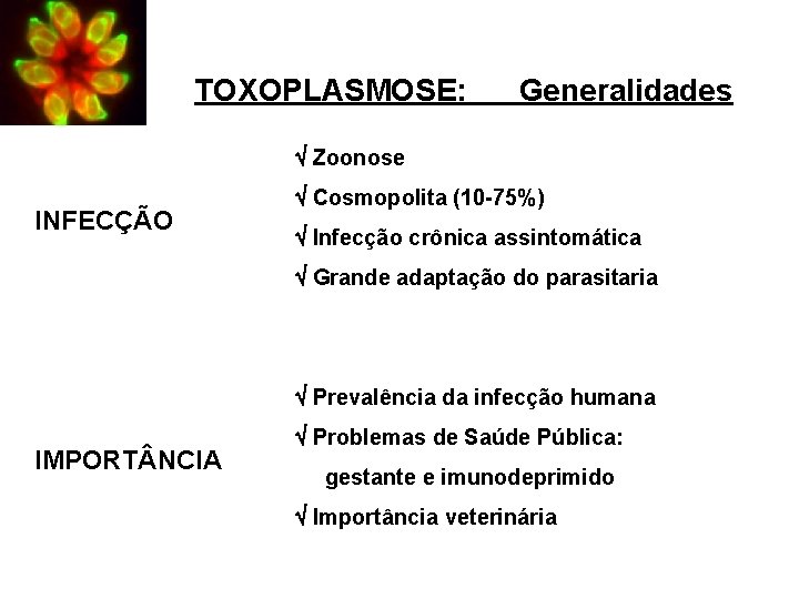TOXOPLASMOSE: Generalidades Zoonose INFECÇÃO Cosmopolita (10 -75%) Infecção crônica assintomática Grande adaptação do parasitaria
