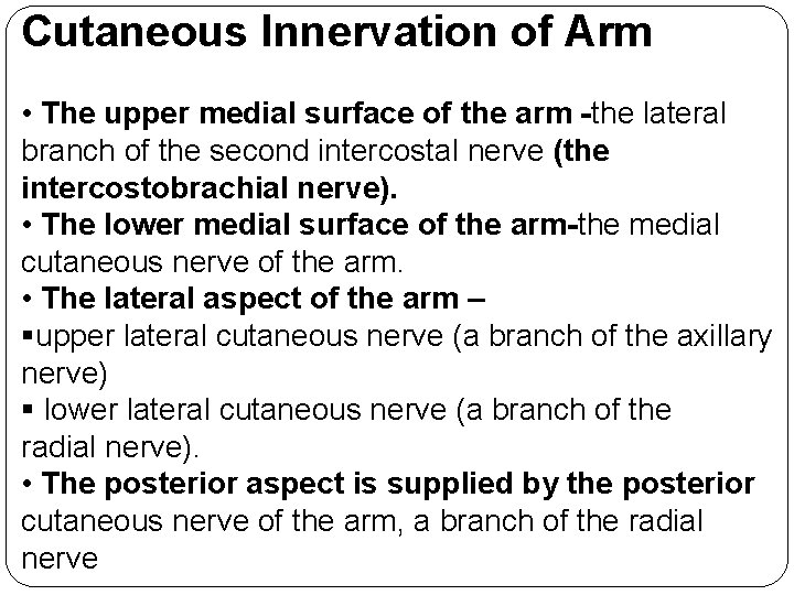 Cutaneous Innervation of Arm • The upper medial surface of the arm -the lateral