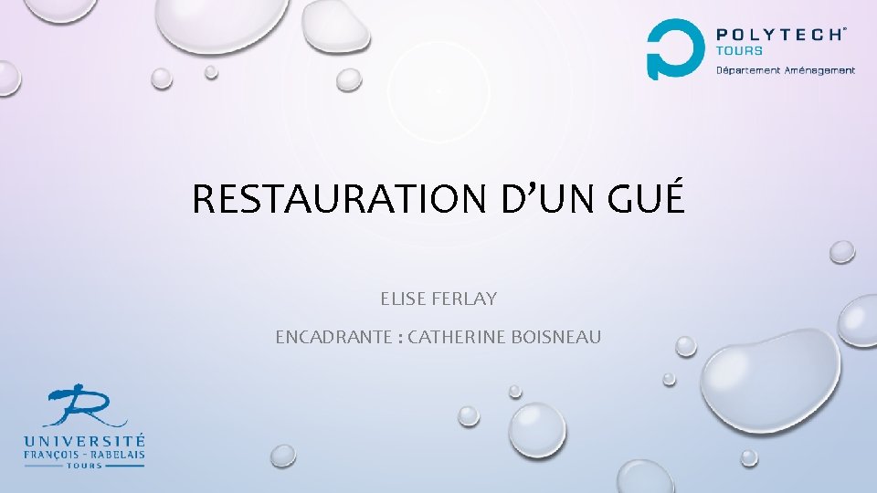 RESTAURATION D’UN GUÉ ELISE FERLAY ENCADRANTE : CATHERINE BOISNEAU 