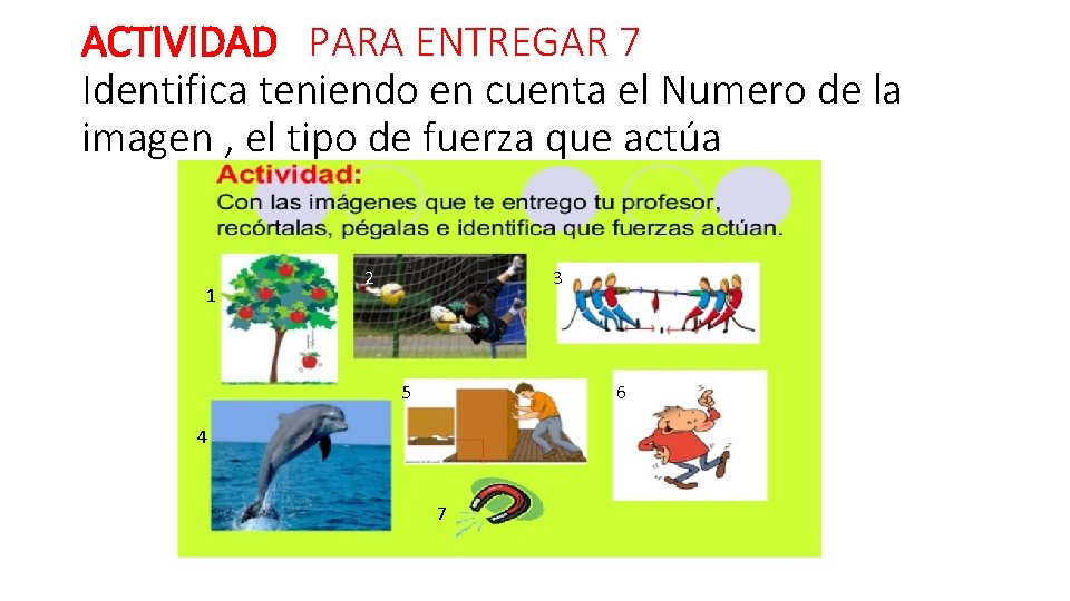 ACTIVIDAD PARA ENTREGAR 7 Identifica teniendo en cuenta el Numero de la imagen ,