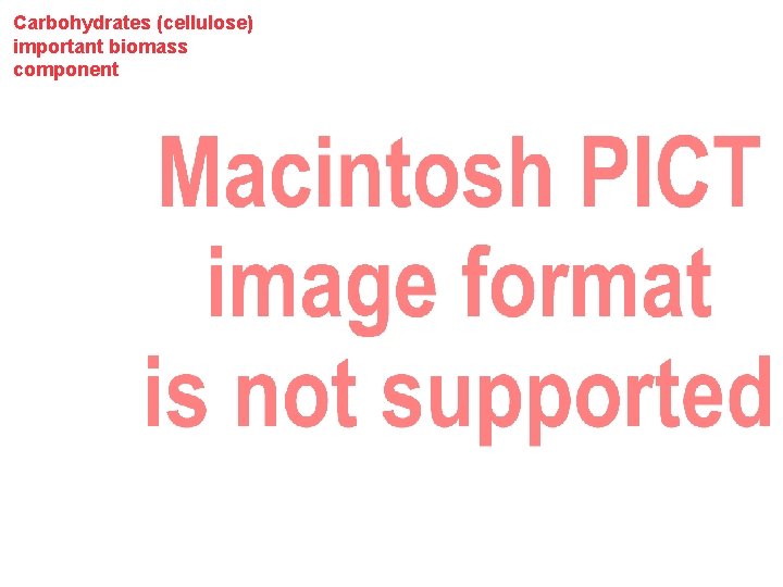 Carbohydrates (cellulose) important biomass component 