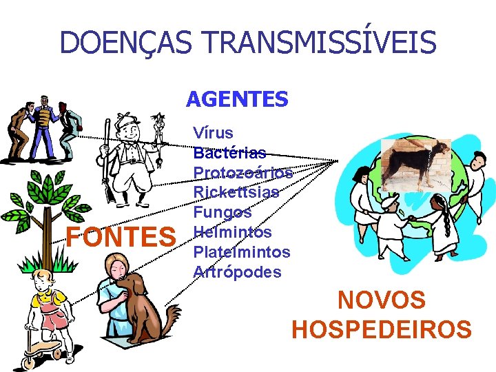 DOENÇAS TRANSMISSÍVEIS AGENTES FONTES Vírus Bactérias Protozoários Rickettsias Fungos Helmintos Platelmintos Artrópodes NOVOS HOSPEDEIROS