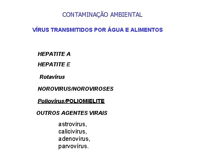 CONTAMINAÇÃO AMBIENTAL VÍRUS TRANSMITIDOS POR ÁGUA E ALIMENTOS HEPATITE A HEPATITE E Rotavírus NOROVIRUS/NOROVIROSES