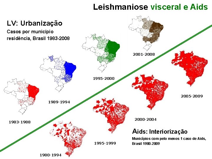 Leishmaniose visceral e Aids LV: Urbanização Casos por município residência, Brasil 1983 -2008 2001