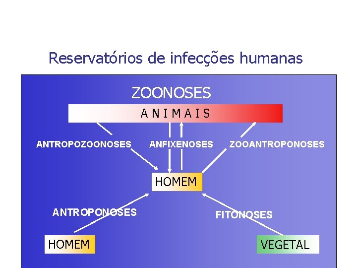 Reservatórios de infecções humanas ZOONOSES A N I M A I S ANTROPOZOONOSES ANFIXENOSES
