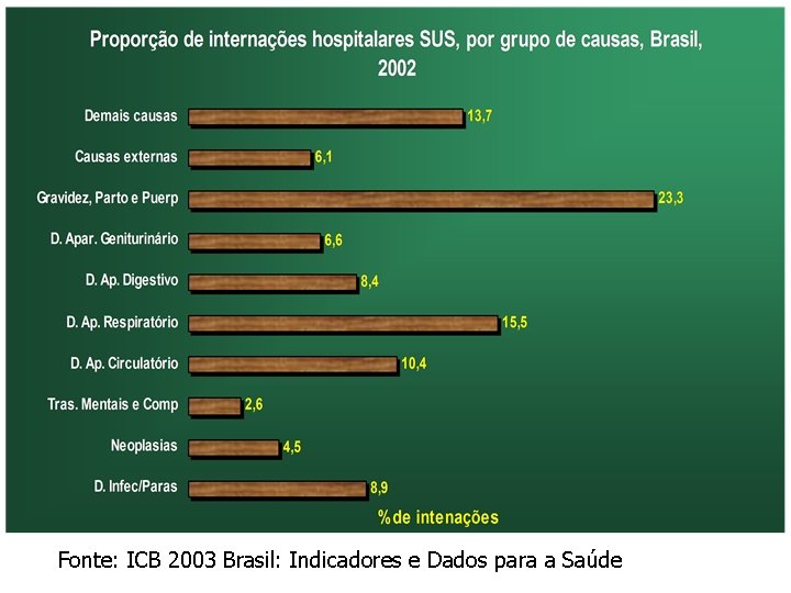 Fonte: ICB 2003 Brasil: Indicadores e Dados para a Saúde 