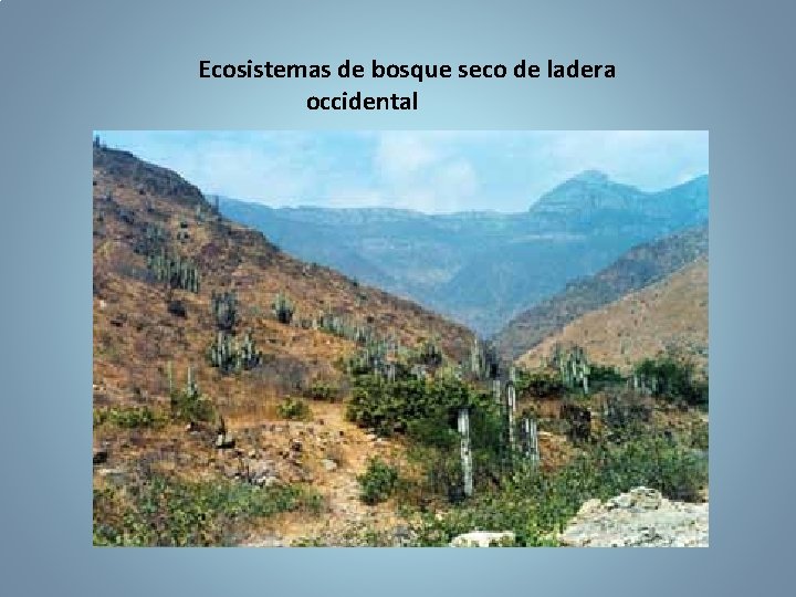 Ecosistemas de bosque seco de ladera occidental 