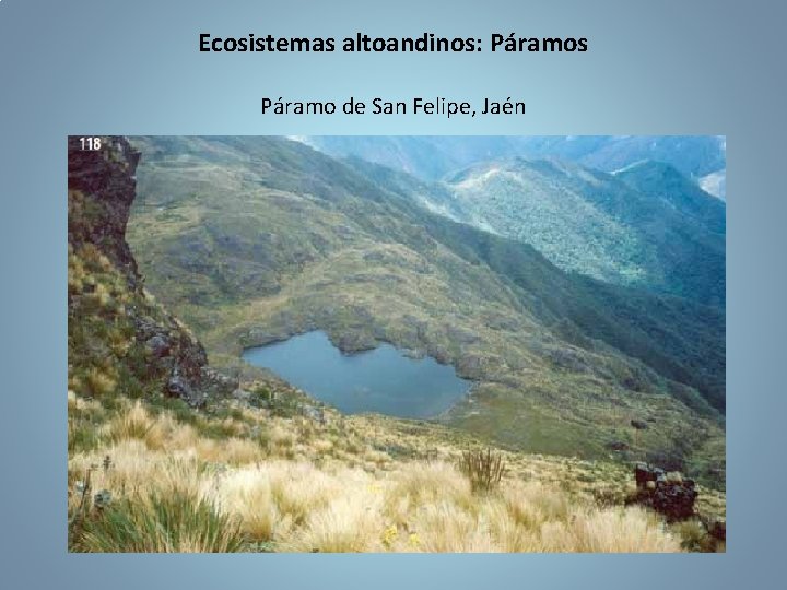 Ecosistemas altoandinos: Páramos Páramo de San Felipe, Jaén 