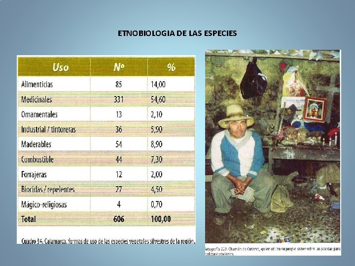 ETNOBIOLOGIA DE LAS ESPECIES 