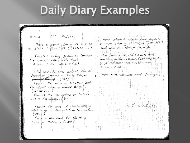 Daily Diary Examples 