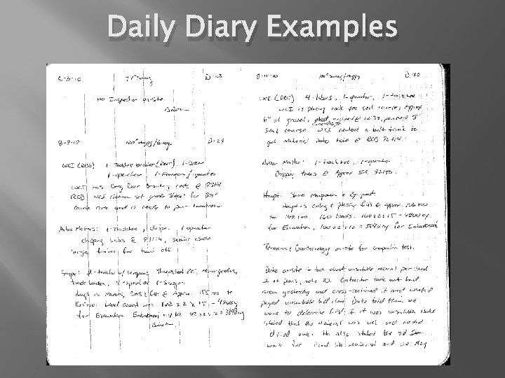 Daily Diary Examples 