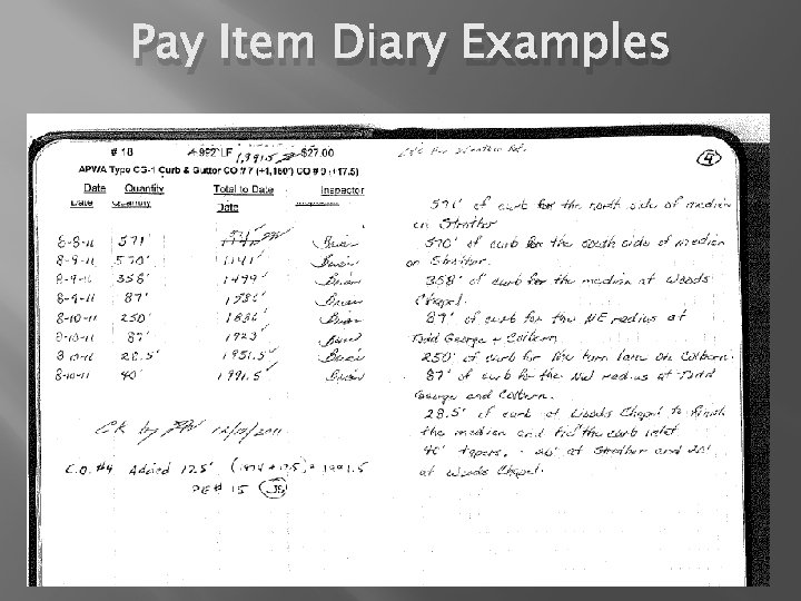 Pay Item Diary Examples 