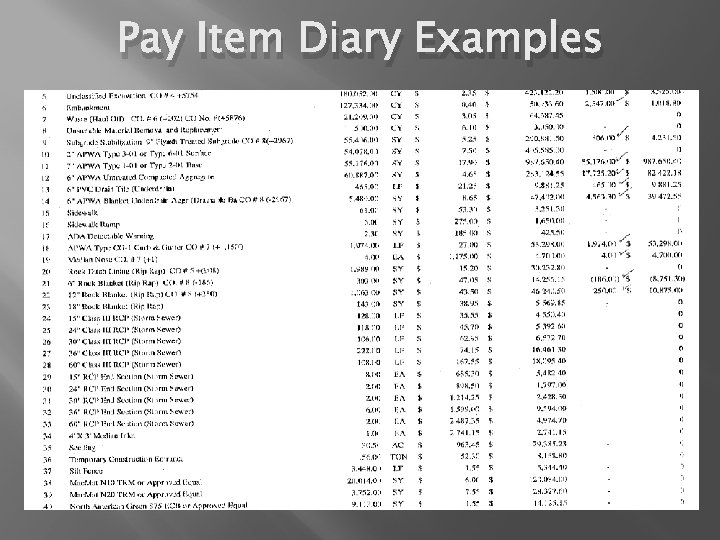 Pay Item Diary Examples 
