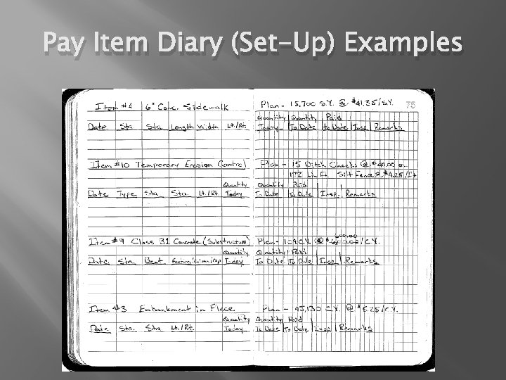 Pay Item Diary (Set-Up) Examples 