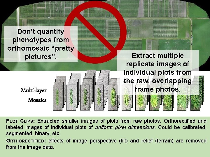 Don’t quantify phenotypes from orthomosaic “pretty pictures”. Multi-layer Mosaics Extract multiple replicate images of