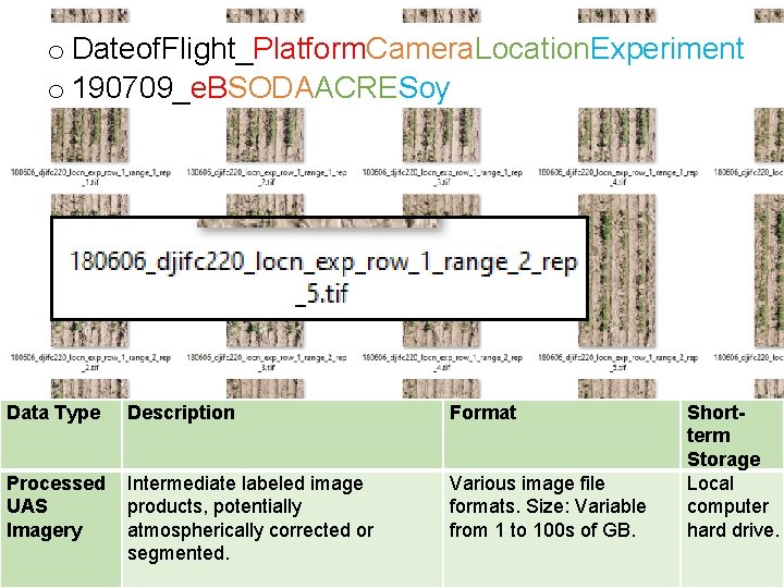 o Dateof. Flight_Platform. Camera. Location. Experiment o 190709_e. BSODAACRESoy Data Type Description Format Processed