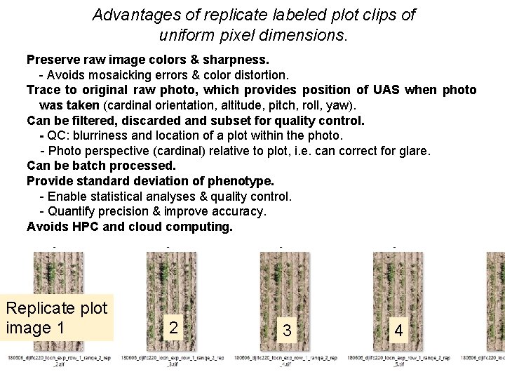 Advantages of replicate labeled plot clips of uniform pixel dimensions. Preserve raw image colors