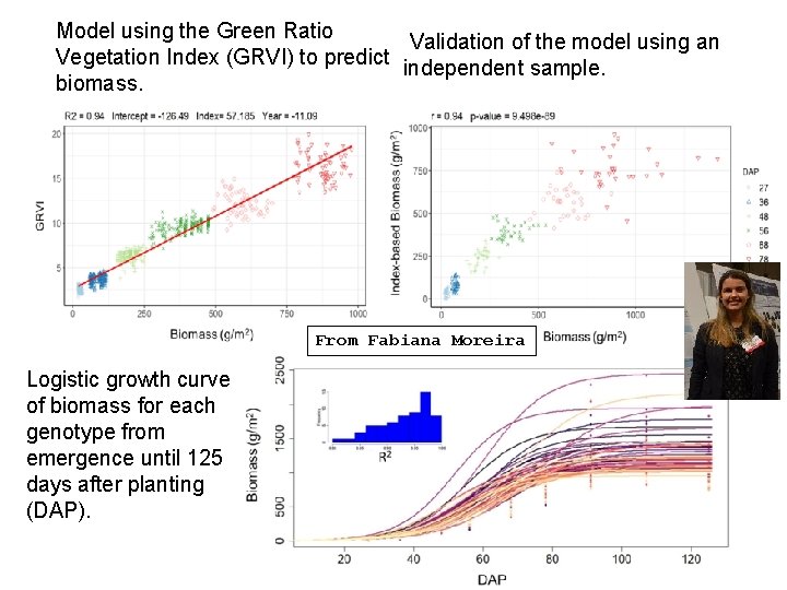 Model using the Green Ratio Validation of the model using an Vegetation Index (GRVI)