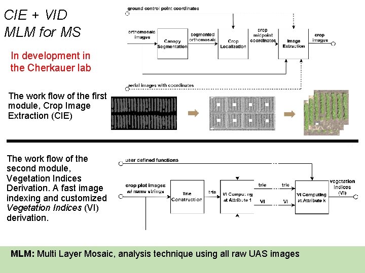 CIE + VID MLM for MS In development in the Cherkauer lab The work