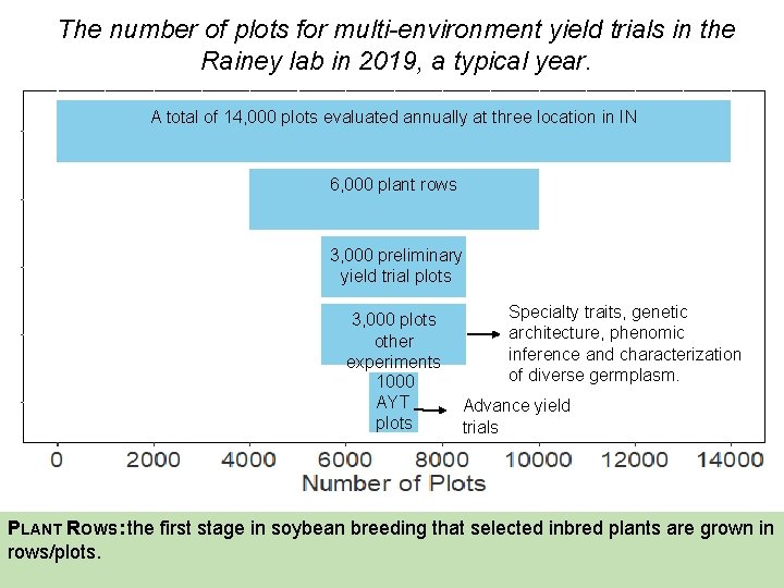 The number of plots for multi-environment yield trials in the Rainey lab in 2019,