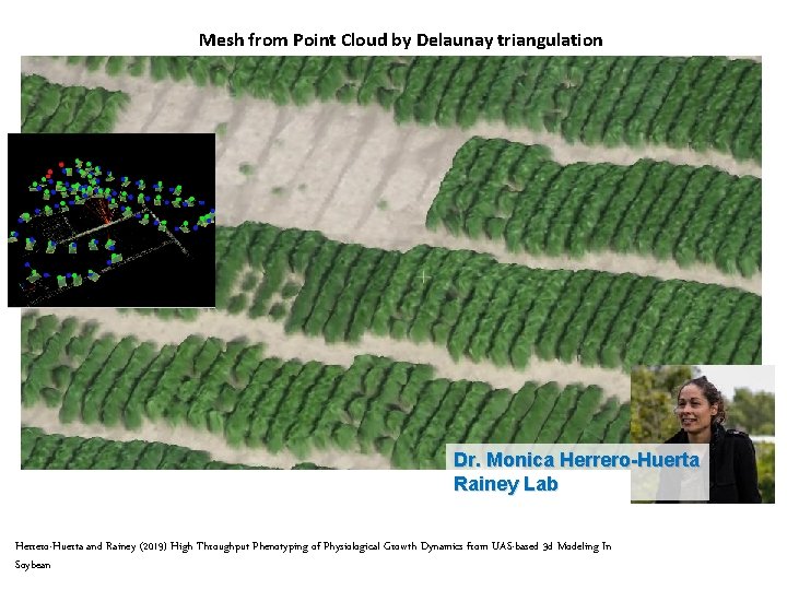 Mesh from Point Cloud by Delaunay triangulation Dr. Monica Herrero-Huerta Rainey Lab Herrero-Huerta and