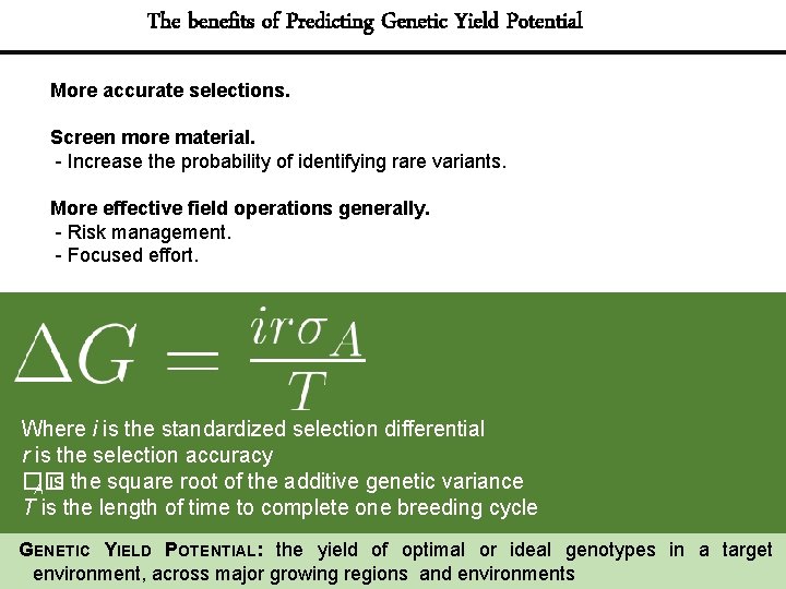 The benefits of Predicting Genetic Yield Potential More accurate selections. Screen more material. -