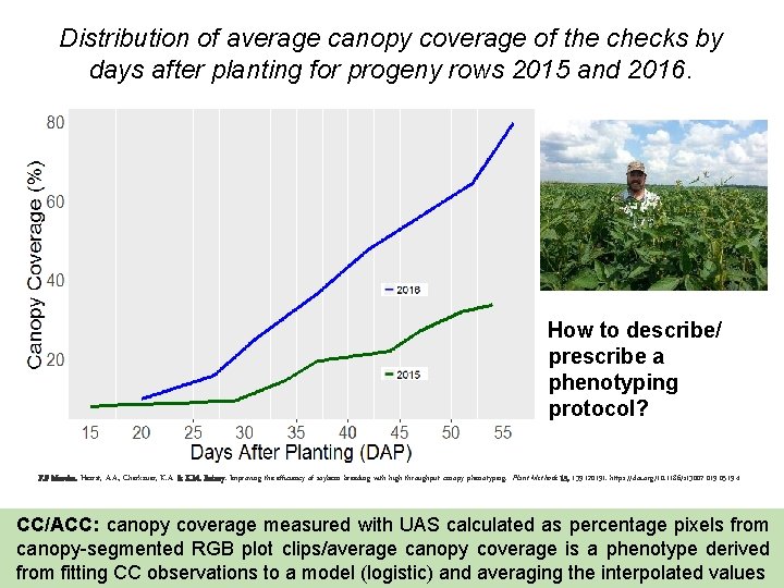 Distribution of average canopy coverage of the checks by days after planting for progeny