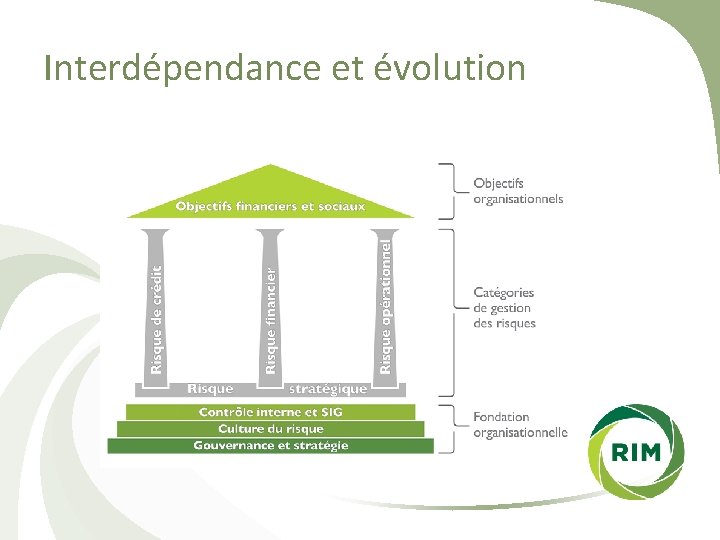 Interdépendance et évolution 